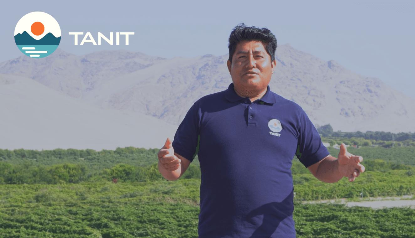 Case study image showing the regenerative farming implementation in Virú, Peru