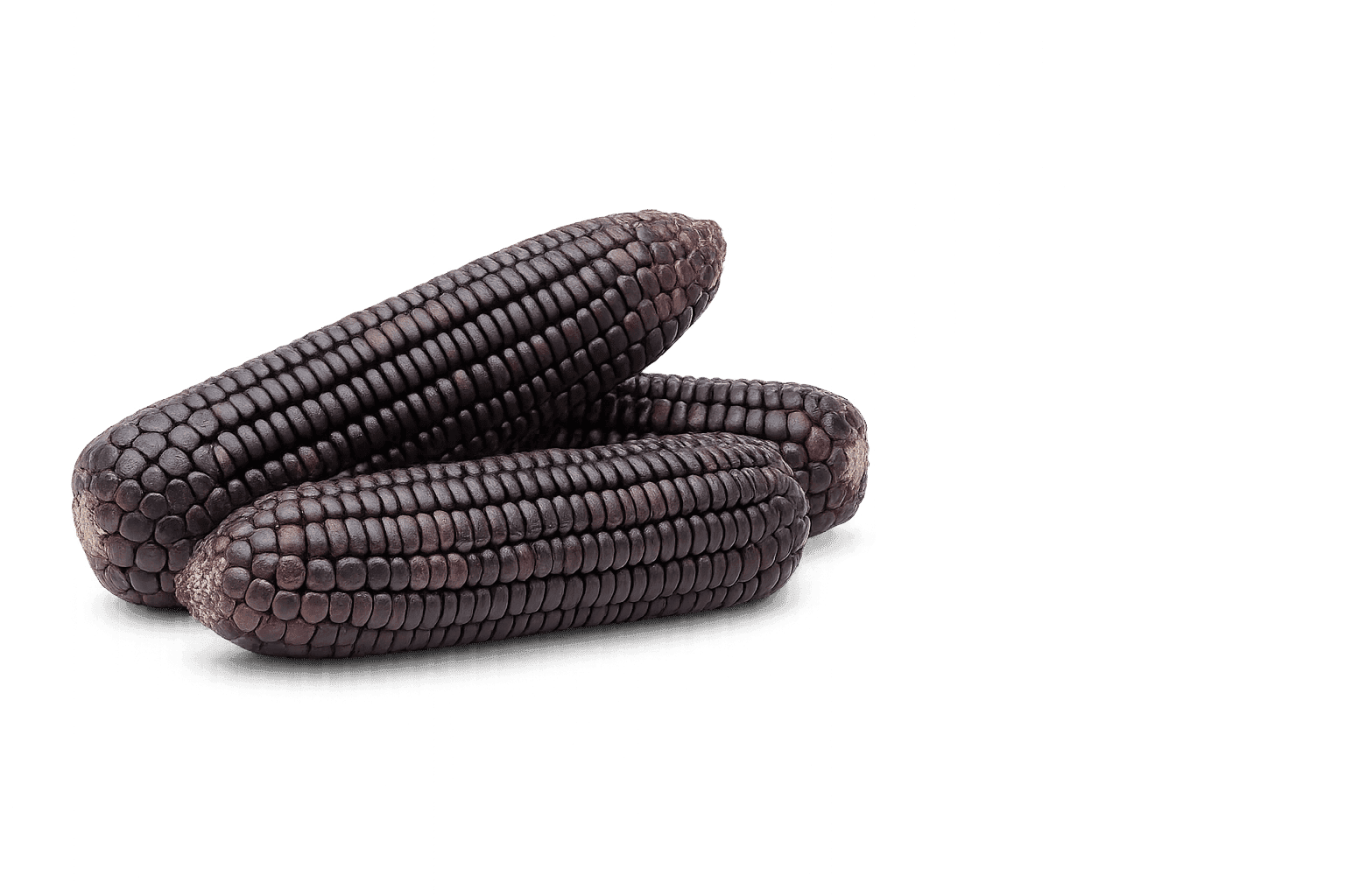 Purple corn decorative