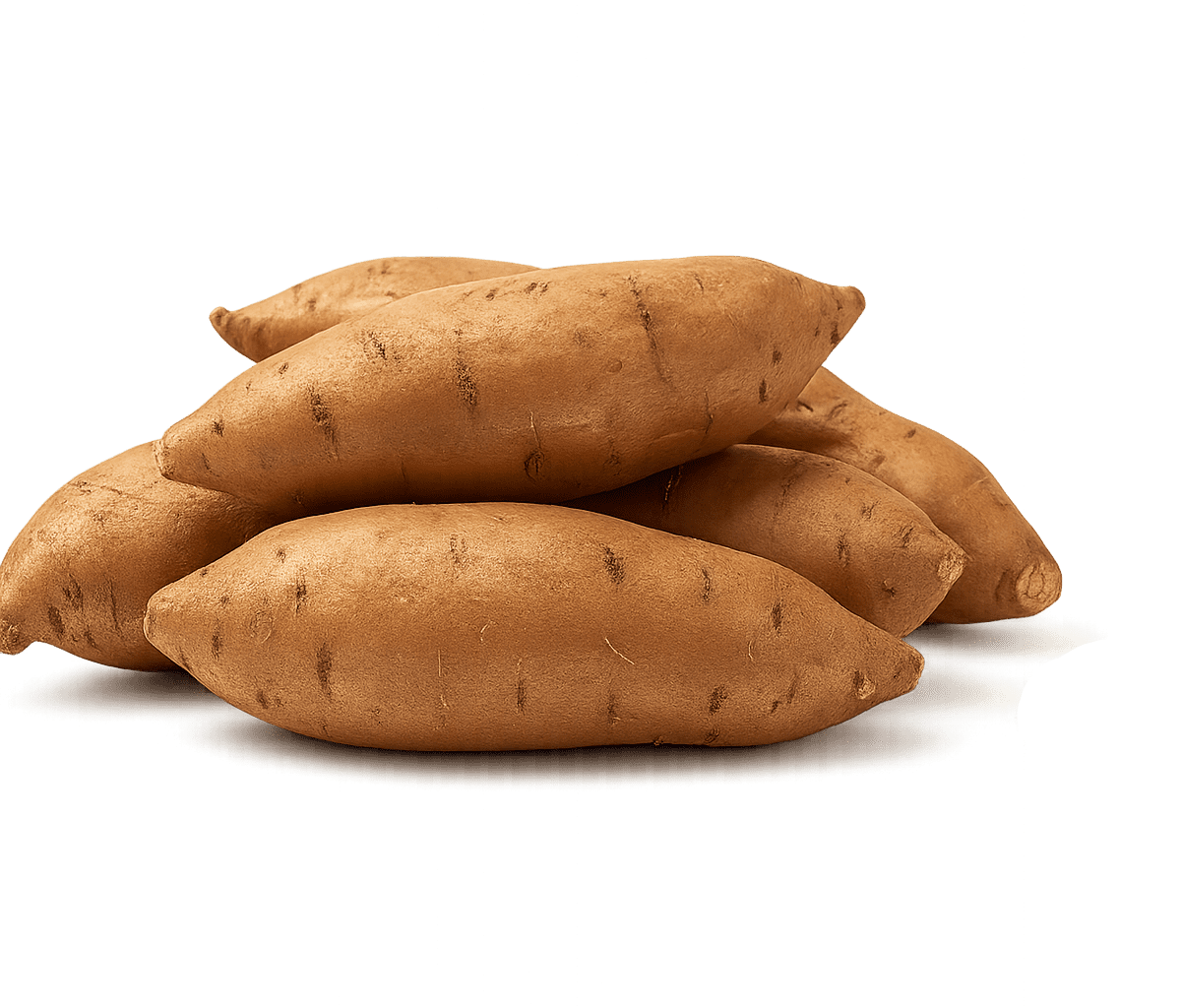 Yacon reversed decorative